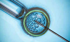 当父亲拥有女儿的身体怎么办