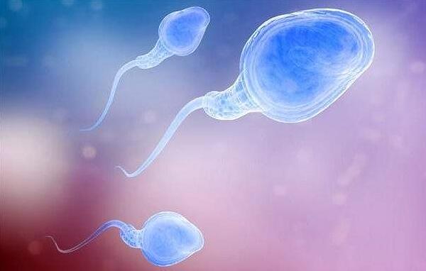 当爸爸要注意什么