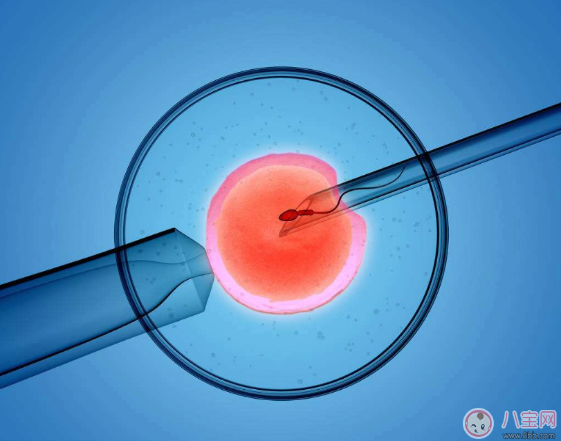 心理咨询师证书