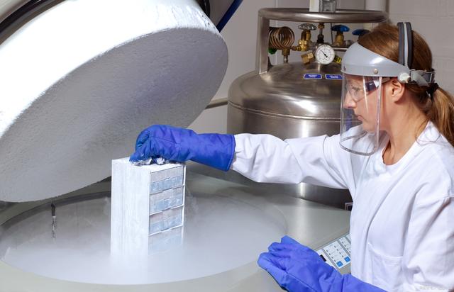 怀儿子初期最准的感受