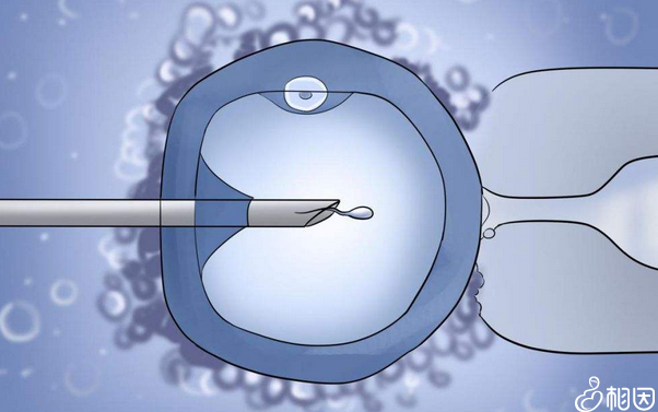 心理健康指导师