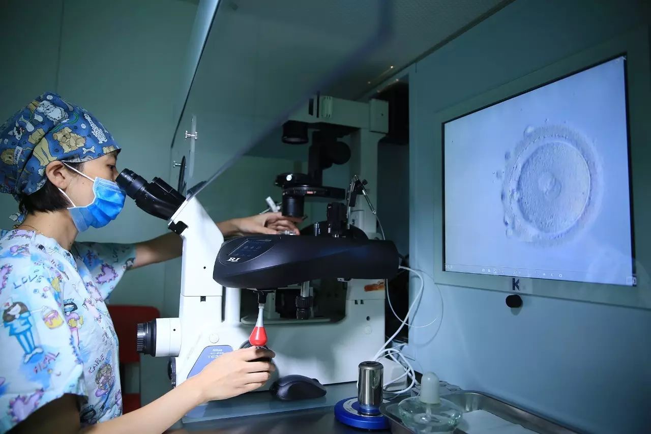 孕中期胎位臀位