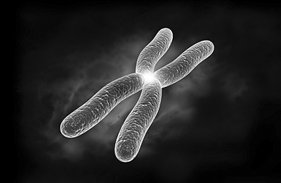 孕中期先兆流产