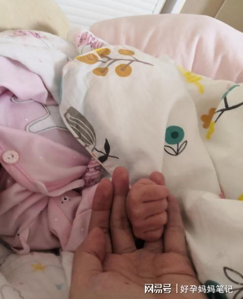 怀孕七周胚胎停育