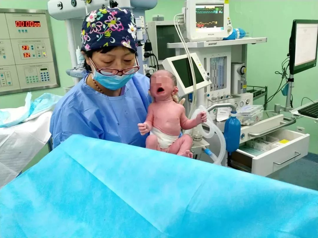 怀孕一月到十月全图