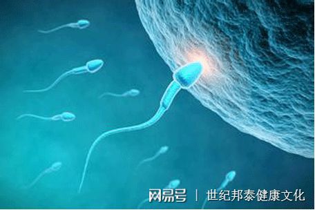 怀孕两个月人流