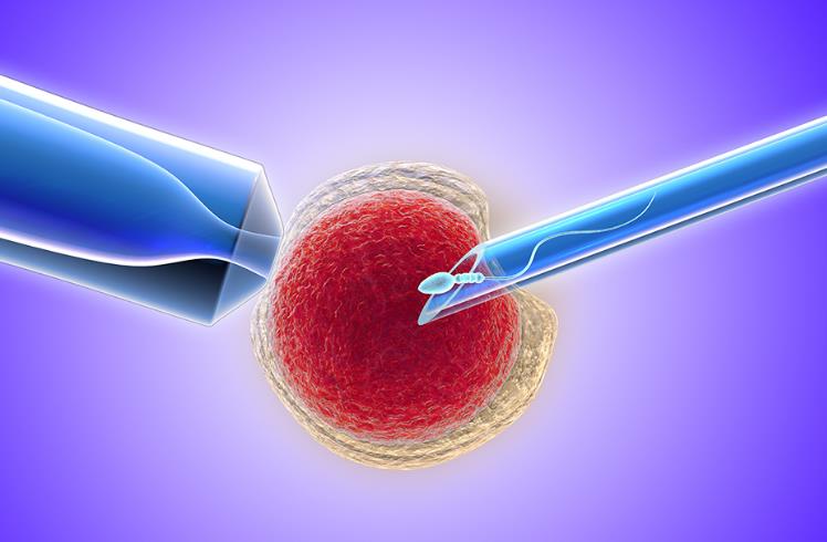 怀孕了呕吐特别厉害怎么办