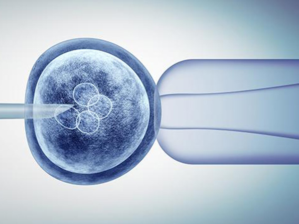 怀孕了下面出血