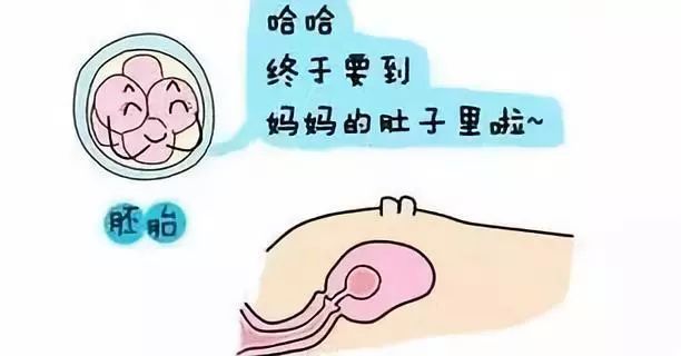 早孕三项雌二醇