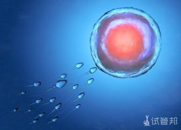 怀孕了呕吐特别厉害怎么办